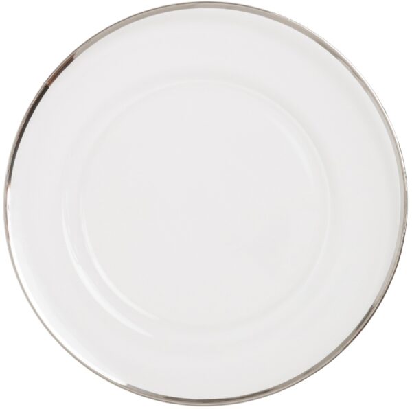 Solar Glass Charger Platinum